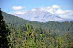Mt. Shasta