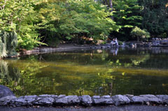 Lithia Duck Pond