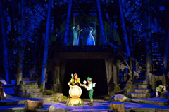 Midsummer Night's Dream