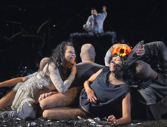 Midsummer Night's Dream