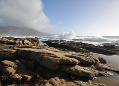 Weston Beach, Point Lobos