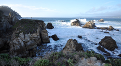 Cannery Point, Point Lobos