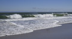 Florida Atlantic coast