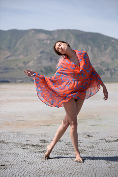 Great Saltair, Kate Snig