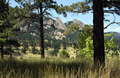 Flat Irons