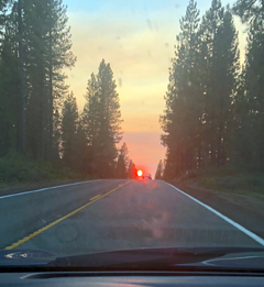 sun through fire