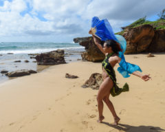 Merrique, Kauai, 2019