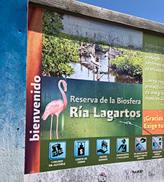 Ria Lagarto