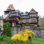 Pelesor, Romania, 2019