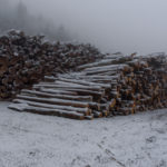 Near Cheile Grădiștei, Romania, 2019