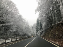 Road to Piatra Craiului, Romania, 2020