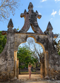 Ivory Flame, Yucatan, 2020