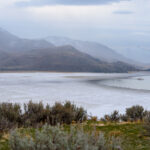Antelope Island, SLC, 2021