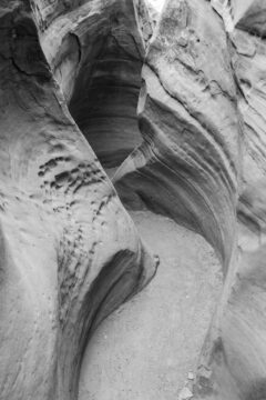 Little Wildhorse Canyon, Utah, 2021