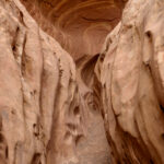 Little Wildhorse Canyon, Utah, 2021