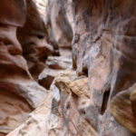 Little Wildhorse Canyon, Utah, 2021