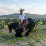 Charro, Hac. Ocotepec, Hidalgo, MX