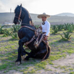 Charro, Hac. Ocotepec, Hidalgo, MX