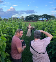 Hacienda Ake, Ivory Flame, Me, Patrick Haines
