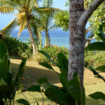 Femme Nue, Jamaica, 2023