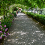 Boboli Gardens, Florence, Tuscany, Italy, 2023