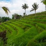 Yeh Hoo Waterfall, Bali, 2023