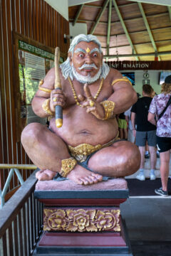 Monkey Forest, Ubud, Bali, 2023