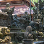 Monkey Forest, Ubud, Bali, 2023