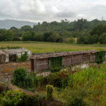 Femme Nue, Portugal, 2025